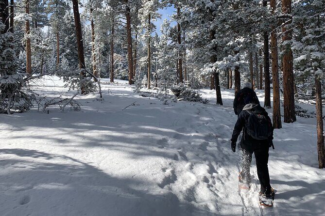 Snowshoeing Adventure in the Rocky Mountains Close to Denver - Final Thoughts: Is It Worth It?