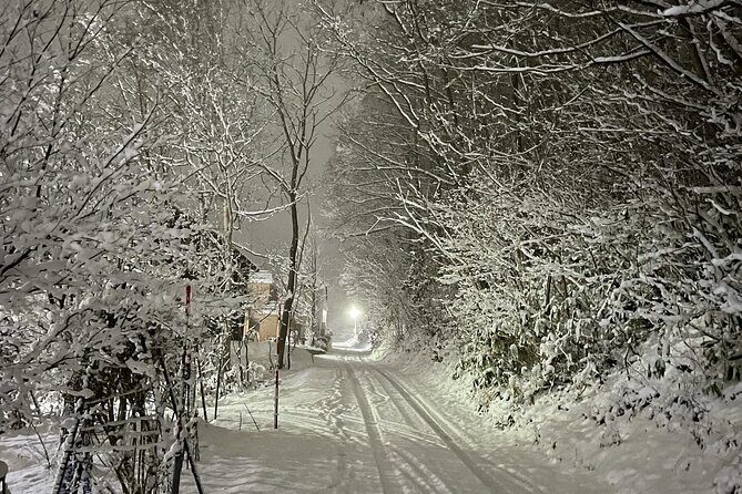 Snowshoeing and Onsen Adventures in a Winter Wonderland -Sapporo. - The Sum Up