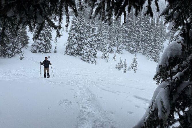 Snowshoeing at Crystal Mountain by Mount Rainier - Who Should Book This Tour?