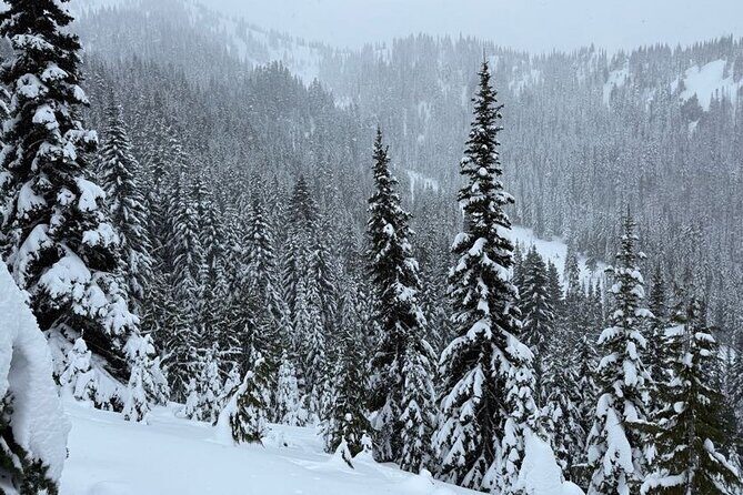 Snowshoeing at Crystal Mountain by Mount Rainier - Final Thoughts: Is This Tour Worth It?