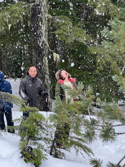 Snowshoeing At The Top Of The Sea To Sky Gondola - Practical Tips for Travelers