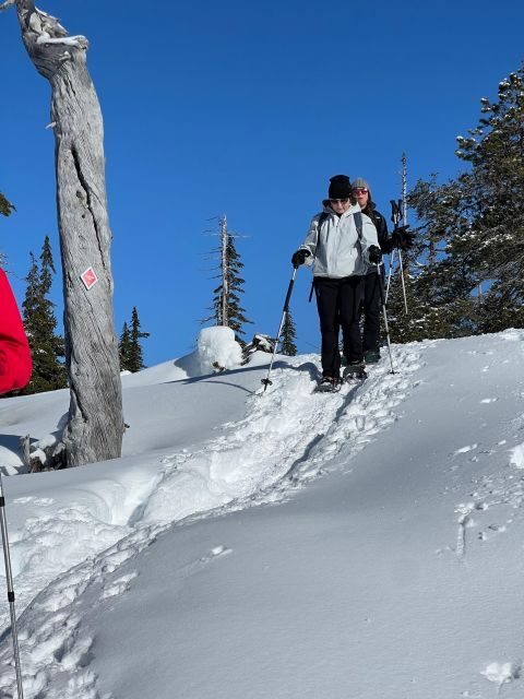 Snowshoeing At The Top Of The Sea To Sky Gondola - FAQs