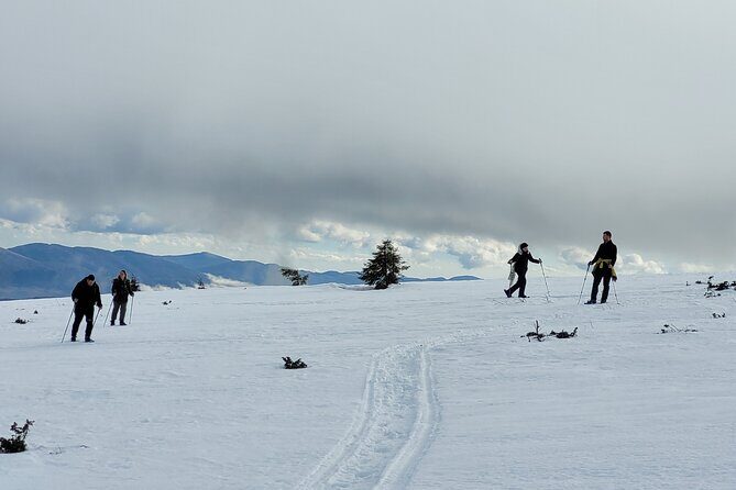 Snowshoeing Fun Tour from Cluj Napoca - The Sum Up: Is This Tour Worth It?