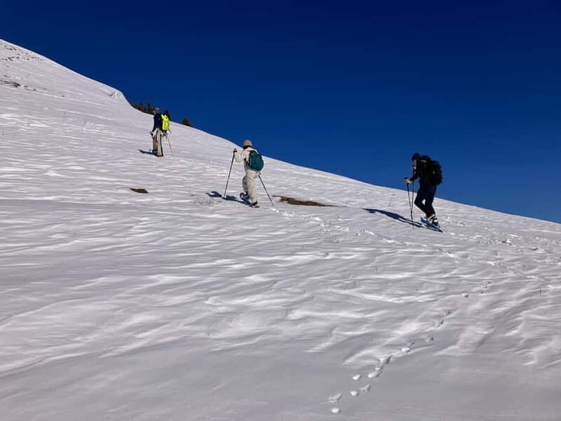 Snowshoeing in Bakuriani, Caucasus Mountains - What to Expect from the Itinerary