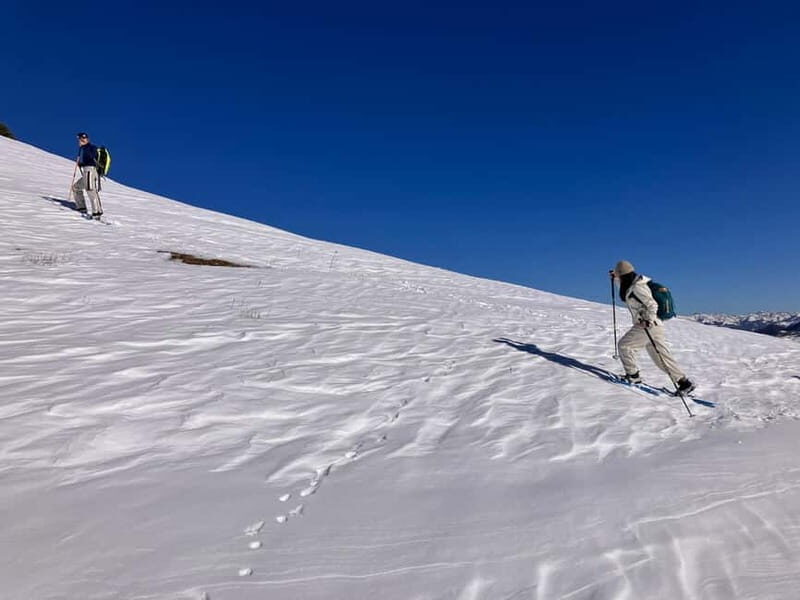 Snowshoeing in Bakuriani, Caucasus Mountains - Practical Details and Value