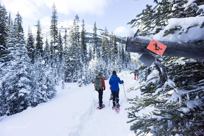Snowshoeing in Kananaskis - What to Expect During the Tour