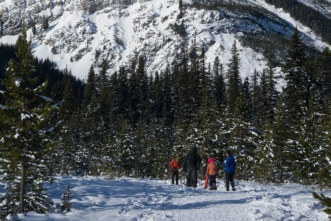 Snowshoeing in Kananaskis - Practicalities and Tips for Participants
