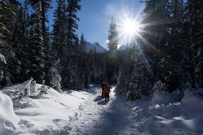 Snowshoeing in Kananaskis - Who Should Consider This Tour?