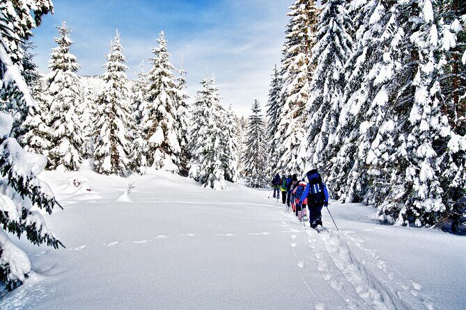 Snowshoeing in Levi - What to Expect from the Snowshoeing Tour in Levi