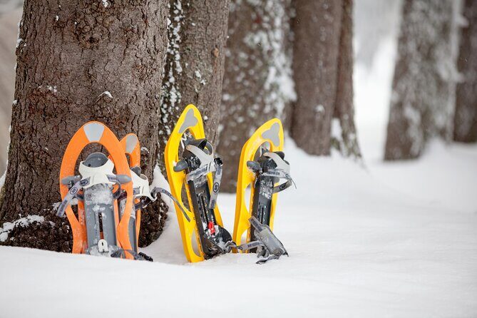 Snowshoeing in Levi - Who Should Consider This Tour?