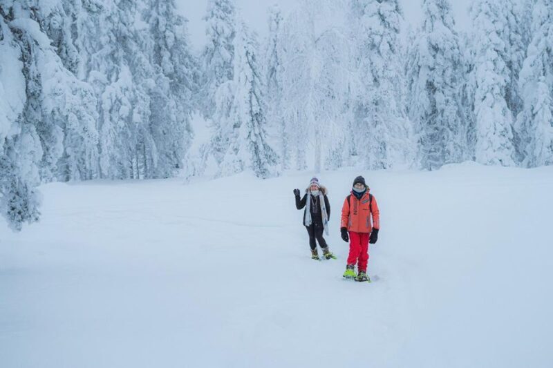 Snowshoeing in the Frozen Forest - FAQ