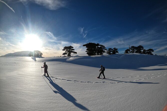 Snowshoeing in the Pollino National Park - Authenticity and Unique Aspects