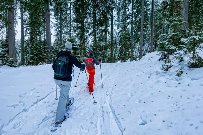 Snowshoeing in Triglav National Park - Key Points