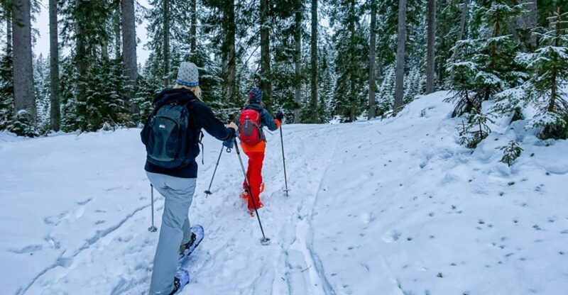 Snowshoeing in Triglav National Park - An In-Depth Look at the Snowshoeing Experience