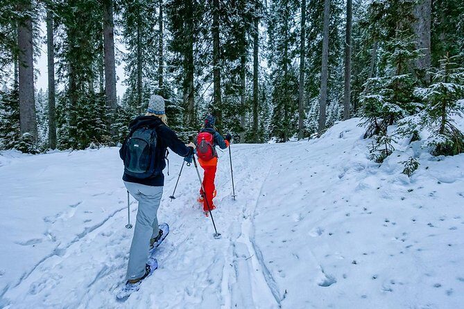 Snowshoeing in Triglav national park - Key Points