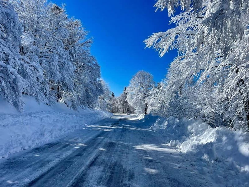 Snowshoeing on the Lure mountain - Key Points