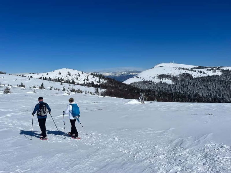 Snowshoeing on the Lure mountain - Practical Tips for Your Snowshoeing Adventure