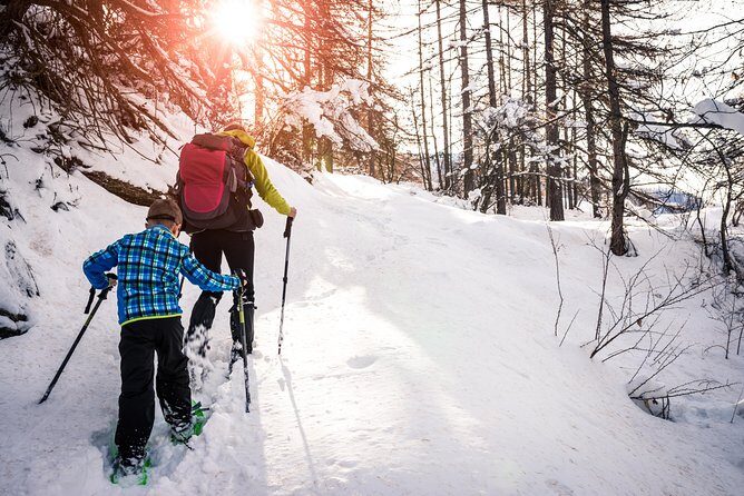 Snowshoeing Tour in Jacques-Cartier National Park - Authentic and Memorable Moments