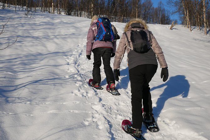 Snowshoeing With A View - Is This Tour Right for You?