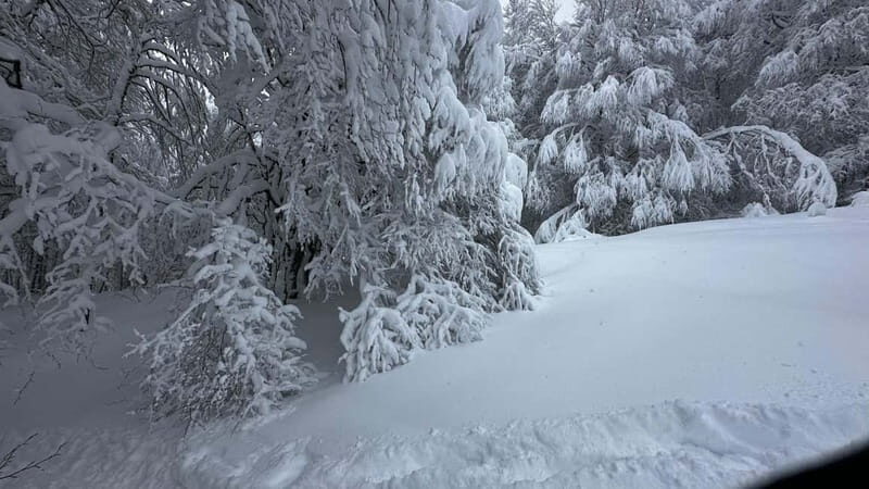 SNOWSHOES - What is Snowshoeing in Nouvelle-Aquitaine?