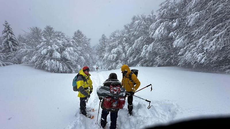 SNOWSHOES - The Equipment and Comfort