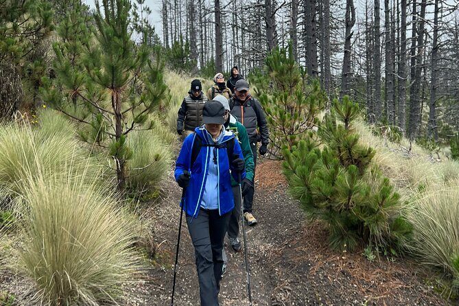 Snowy Colima Day Tour from Guadalajara - Who Will Love This Tour?