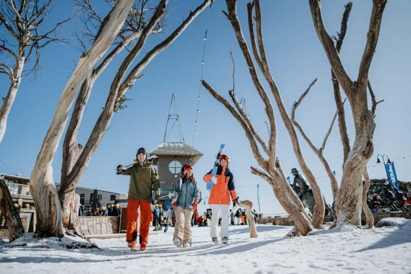 Snowy Escapes: Mount Buller Alpine Adventure - An Honest Look at the Mount Buller Day Trip