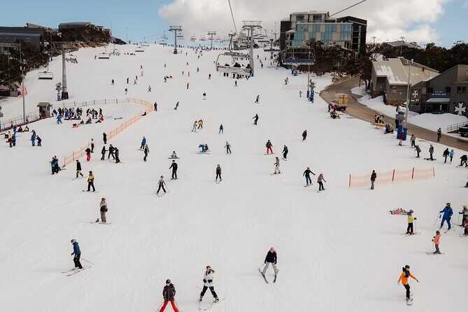 Snowy Escapes Tour Adventure in Mount Buller Alpine Australia - Final Thoughts