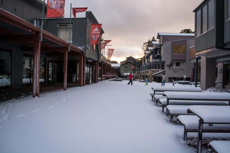 Snowy Mountains: 1-Day Snow Adventure at Thredbo From Sydney - The Sum Up