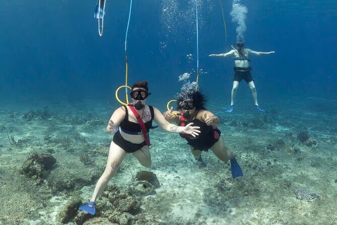 Snuba Cabo San Lucas Dive Without a Tank - Key Points