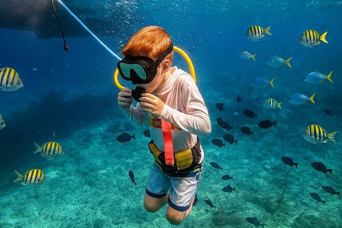 Snuba Cabo San Lucas Dive Without a Tank - Practical Advice for Making the Most of Your Snuba Trip