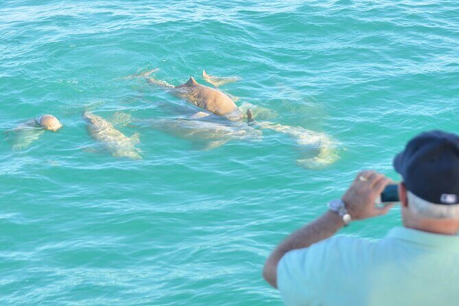 Snubfin Dolphin Eco Cruise from Broome - Returning & Reflecting