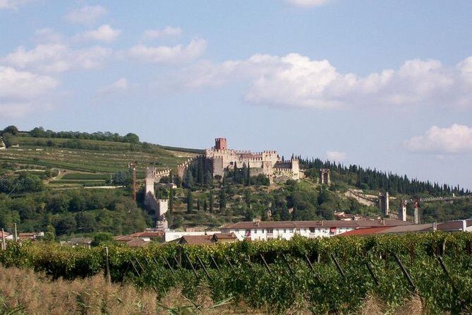 Soave: history and excellence in wines, in Verona hillside - An In-Depth Look at the Tour