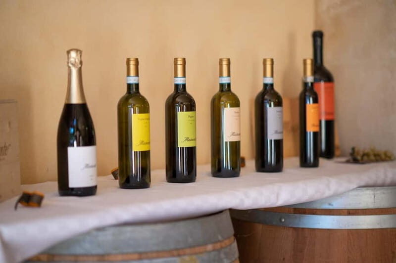 Soave: Wine Tasting and Vineyard Tour in Historical Centre - Practical Details & Value