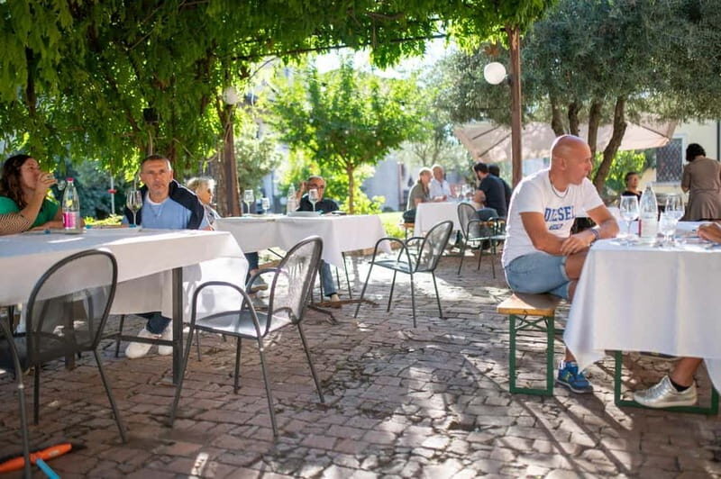 Soave: Wine Tasting and Vineyard Tour in Historical Centre - Authenticity and Guest Experience