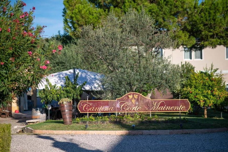 Soave: Wine Tasting and Vineyard Tour in Historical Centre - Final Thoughts: Who Should Book This Tour?