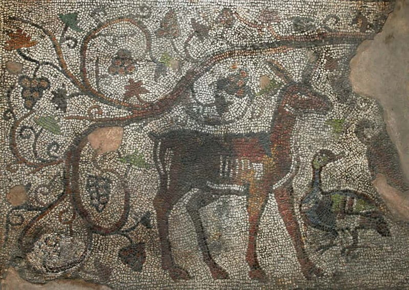 Sofia: Augusta Trayana - From Neolithic to Modern Times Tour - A Deep Dive into the Augusta Trayana Tour