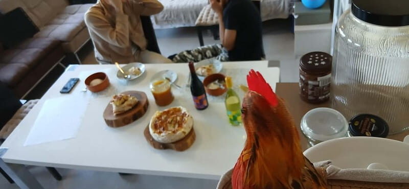 Sofia: Banitsa Pastry Class with a Local with Bulgarian Wine - Final Thoughts