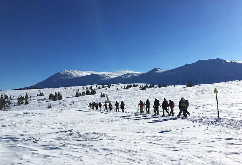 Sofia: Black Peak-Vitosha Mountain Snowshoeing Day Trip - What’s Included and What’s Not