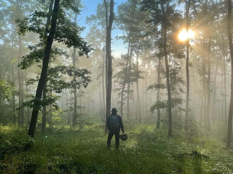 Sofia: Culinary Adventure To The Fungi And Botanical Kingdom - What’s Included and What’s Not