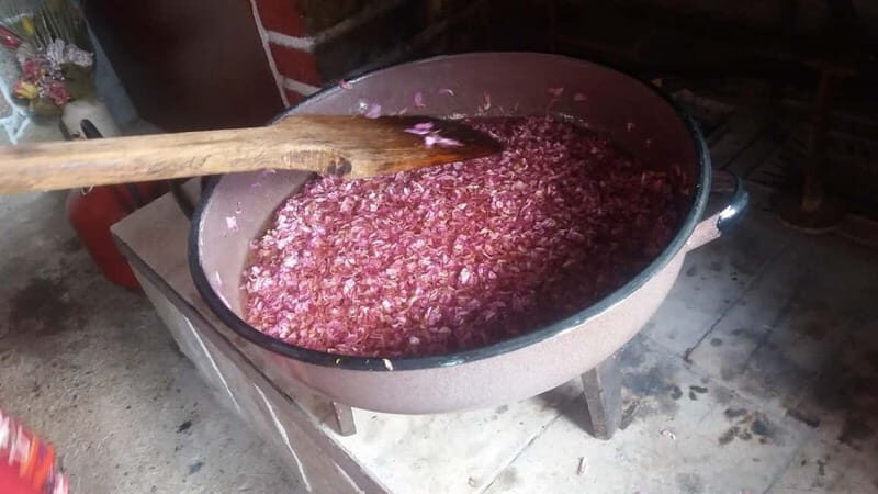 Sofia Kazanluk Rose Valley & Oil Distillery Tour - The Sum Up