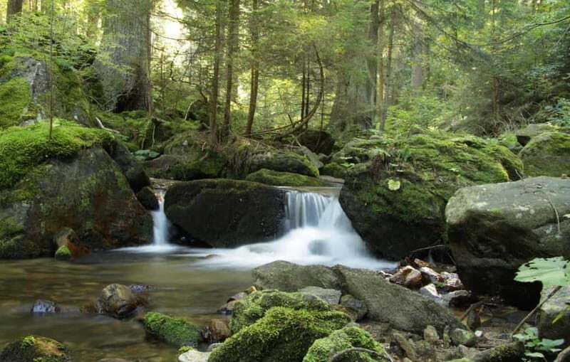 Sofia: Lovech, Devetaki Cave and Krushuna Waterfalls Tour - The Itinerary in Detail: What to Expect