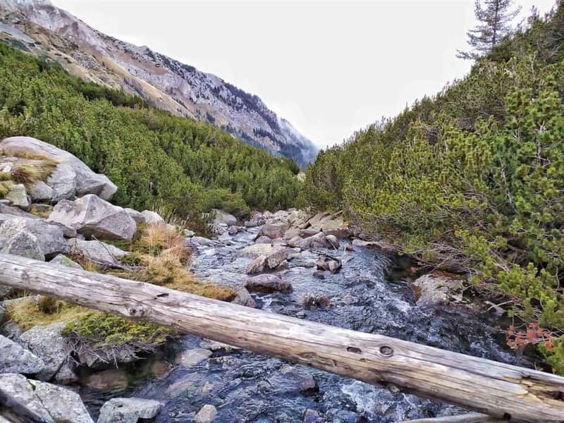 Sofia: Pirin National Park Hike & Bansko Visit - An In-Depth Look at the Experience