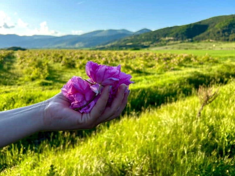 Sofia:The Highlights of Bulgaria - Rose Valley and Buzludzha - Key Points