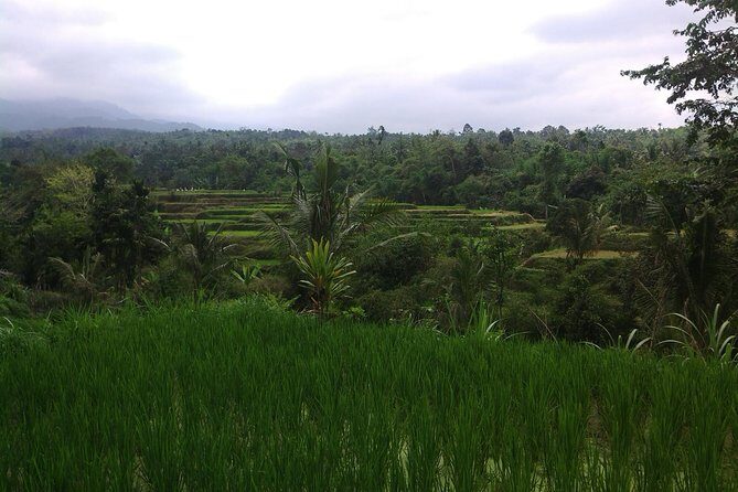 Soft Trekking Tetebatu - Discovering Tetebatu: A Gentle Trek Through Lombok’s Green Heart