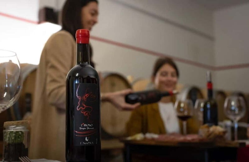 Soiana: Vineyard & Cellar Tour with Wine Tasting near Pisa - Key Points