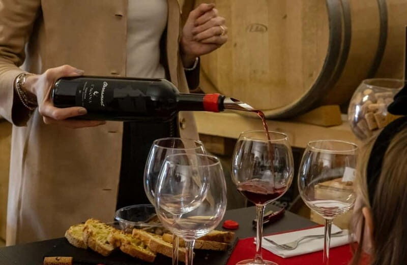 Soiana: Vineyard & Cellar Tour with Wine Tasting near Pisa - Exploring the Experience in Detail