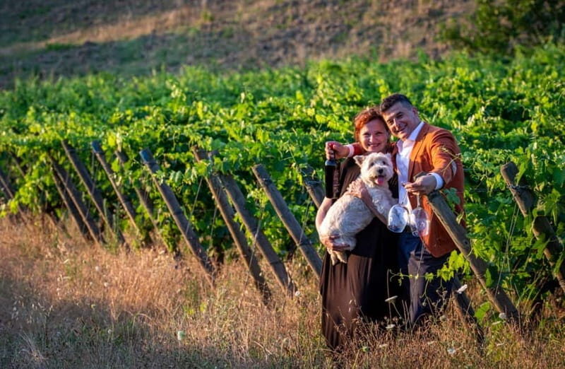 Soiana: Vineyard & Cellar Tour with Wine Tasting near Pisa - Who Should Consider This Tour?