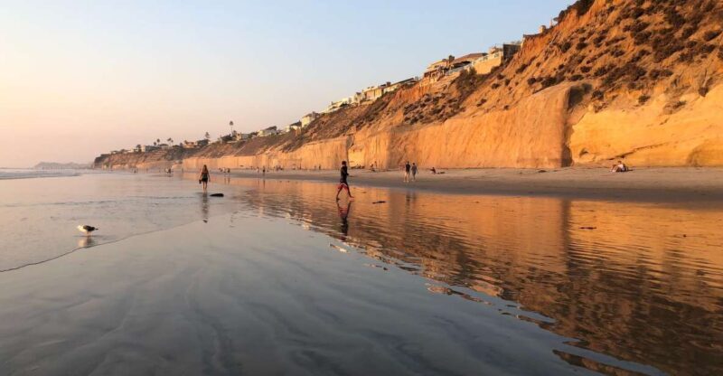 Solana Beach: Full Day Skimboard Rental - Who This Tour Is Best For