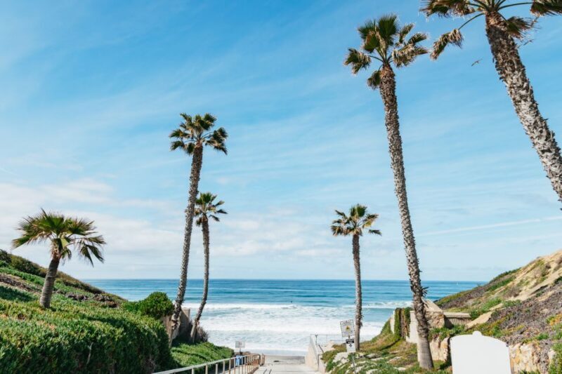 Solana Beach: Private Surf Lesson with Board and Wetsuit - A Closer Look at the Experience